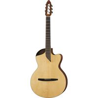 NOVA Guitars : Revelator w/PU