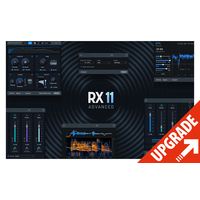 iZotope : RX 11 Adv: UG from RX11 Std