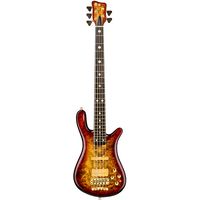 Warwick : Masterbuilt Streamer II LTD 5