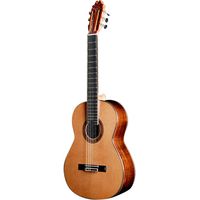 Juan Hernandez : Modelo Maestro Especial DbT