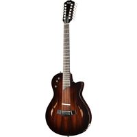 Taylor : T5z Classic DLX,12-String,Reve