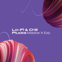 Native Instruments : Lo-Fi & Chill Plucks