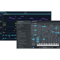 Audible Genius : Syntorial & Buil.Blocks Bundle
