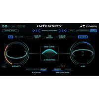 Zynaptiq : Intensity 2