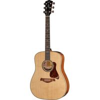 Taylor : Gold Label 810e