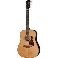 Taylor : Gold Label 710e
