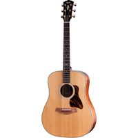 Taylor : Gold Label 510e