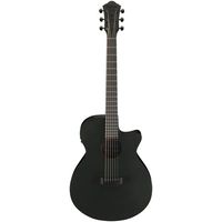 Ibanez : AEG621-BOT