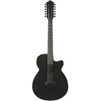 Ibanez : AEG1221-BOT