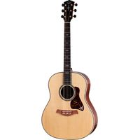 Taylor : Gold Label 917e