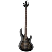 ESP : LTD B-204DX BB