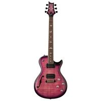 PRS (Paul Reed Smith) : SE Zach Myers EB