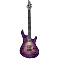 Mayones Guitars : Regius 6 TPI