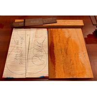 PRS (Paul Reed Smith) : Private Stock HPW Paul's TE