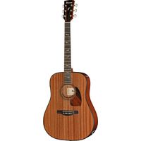 Ibanez : PF34MHE-NT