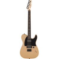 Fender : Jim Root Telecaster EB SHG