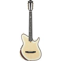 Ibanez : Tim Henson TOD100FMN TMM