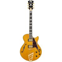 D Angelico : Excel SS Amber
