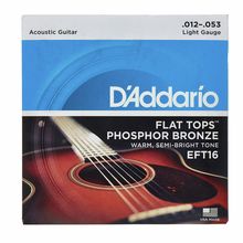 Daddario EFT16