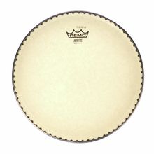 Remo 11" Symmetry Nuskyn D1