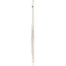 Muramatsu EX-III-CBE Flute