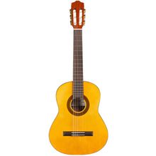 Cordoba Protege C1M 1/2