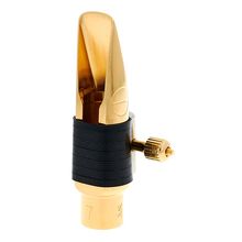 Jody Jazz Alto DV NY 7