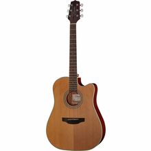 Takamine GD20CE-N