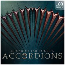 Engine Audio Accordions 2