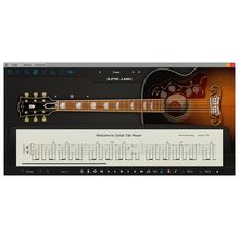 Ample Sound Ample Guitar SJ