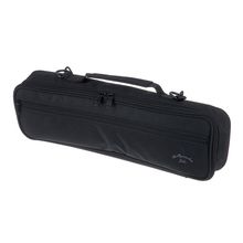 Ranloesa Premium Lightweight Flute Case with Adjustable Shoulder Strap,  Waterproof Pro Flute Carrying Case for 16 & 17 Keys, Portable Slim Flute  Backpack & Handbag, black : : Musical Instruments & DJ