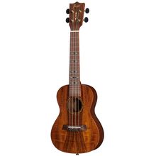 Flight DUC445 Glossy Acacia