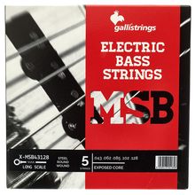 Galli Strings ECS5 Exposed Core Bass Str.