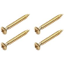 Warwick Screws for Bolt-On Necks G