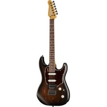 Godin Session R-HT Pro Bourbon Burst