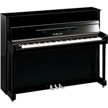 Yamaha b2 SC3 PEC