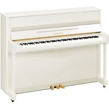 Yamaha b2 SC3 PWH