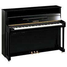 Yamaha B2 TC3 PE