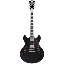 DAngelico Premier DC Black Flake V2