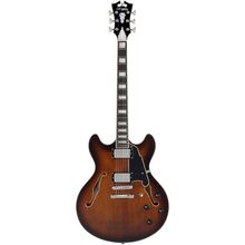 DAngelico Premier DC Brown Burst