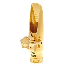 Theo Wanne Lakshmi Alto 6 Gold