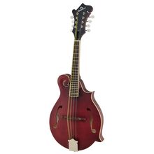 Epiphone F-5 Studio WR Satin