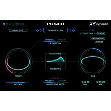 Zynaptiq Punch