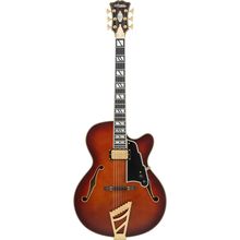 DAngelico Excel 16 Amaretto Burst