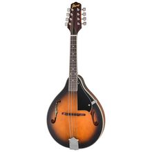 Ibanez M510-OVS