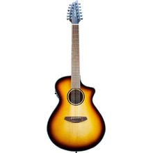 Breedlove Discovery S Conc 12-St CE EB