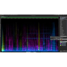 Steinberg SpectraLayers Elements 12