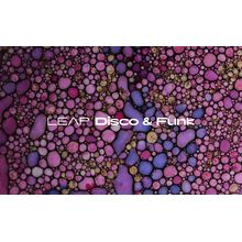 Native Instruments Leap Expansion Disco and Funk