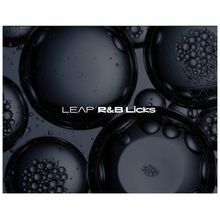 Native Instruments Leap Expansion RnB Licks