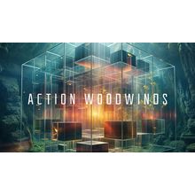 Native Instruments Action Woodwinds